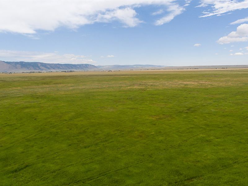 Cow Camp Ranch : Laramie : Albany County : Wyoming