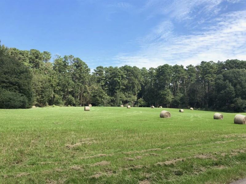 Beautiful Ranch Home On 50+/- Acres : Wesson : Copiah County : Mississippi