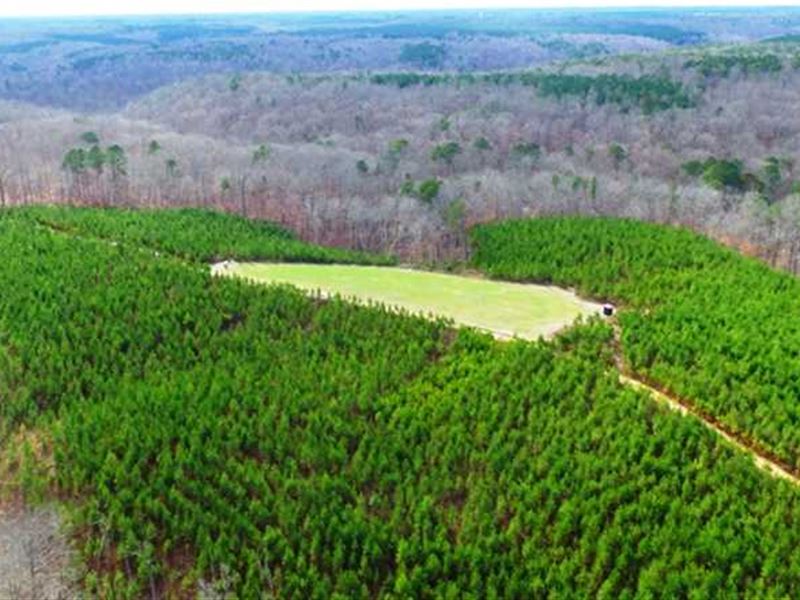 Sale Pending Bankhead Forest 88 : Mount Hope : Franklin County : Alabama