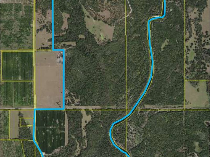750 Acre Hunting Ranch Arcadia : Arcadia : Desoto County : Florida