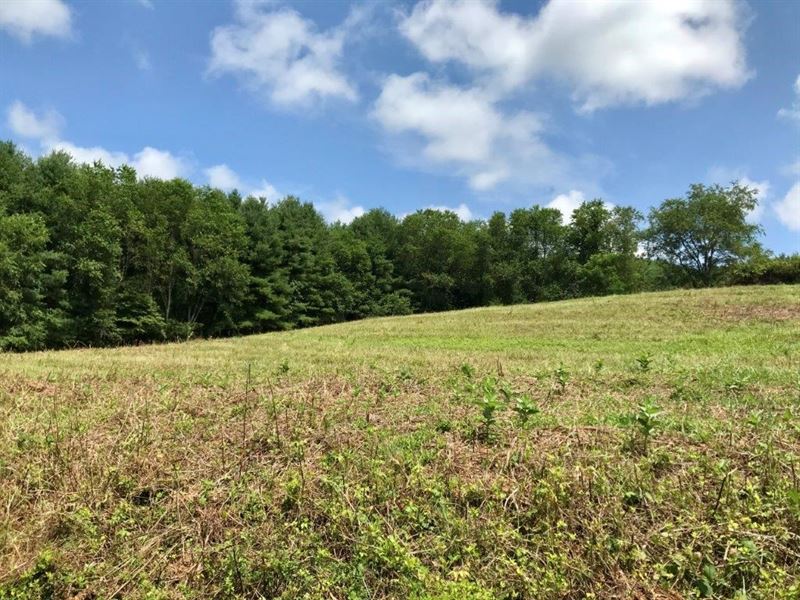 Building Lot in Hillsville VA : Hillsville : Carroll County : Virginia