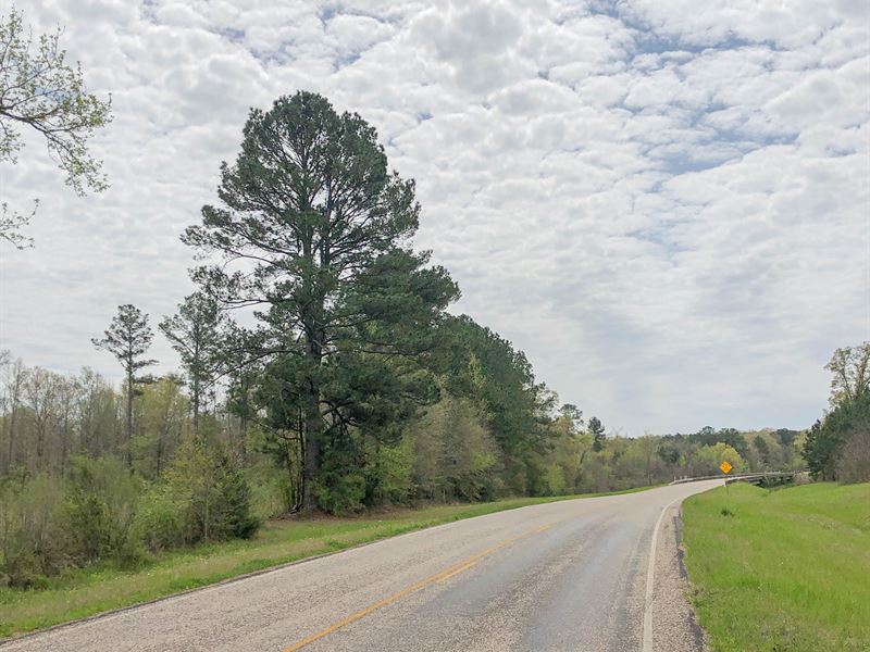 434 Acres Hwy 248 Tract 1019 : Jefferson : Cass County : Texas