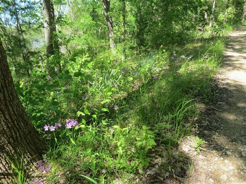 Lake Raymond Gary Lake View Lot Ch : Hugo : Choctaw County : Oklahoma