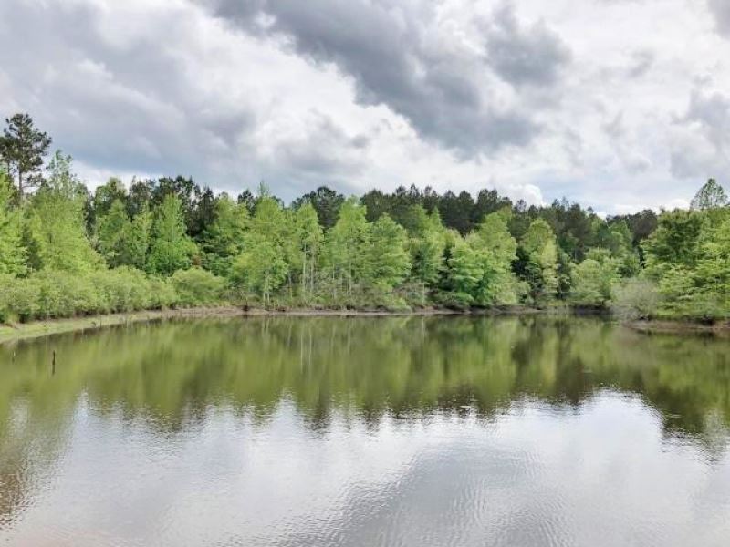 75 Acres Timber, Lake, Hunting Land Land for Sale in Booneville