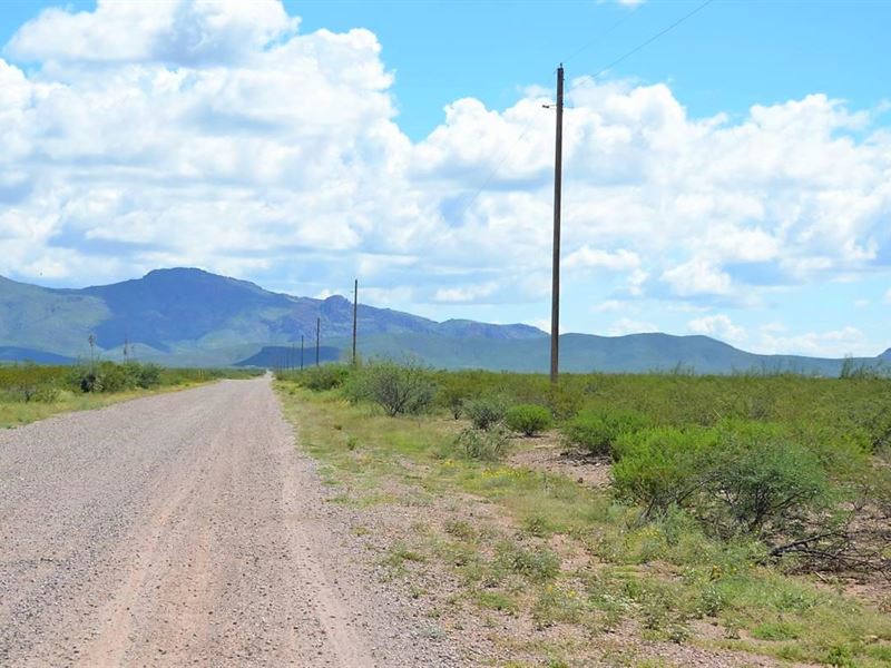 Beautiful, Power, Ru4, $195 P/Mo : Douglas : Cochise County : Arizona