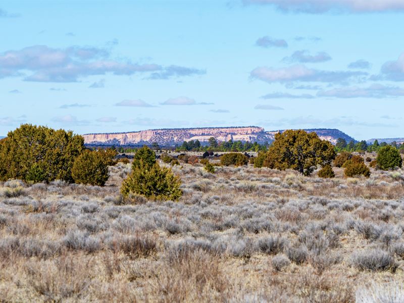Ranch Has Access To National Forest : Ramah : Cibola County : New Mexico