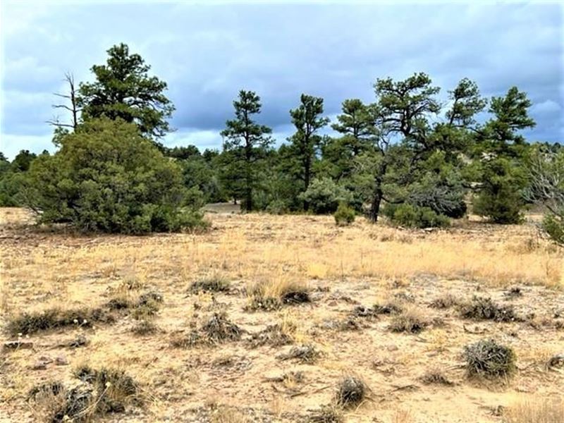 Vista DE Heron 5 : Rutheron : Rio Arriba County : New Mexico