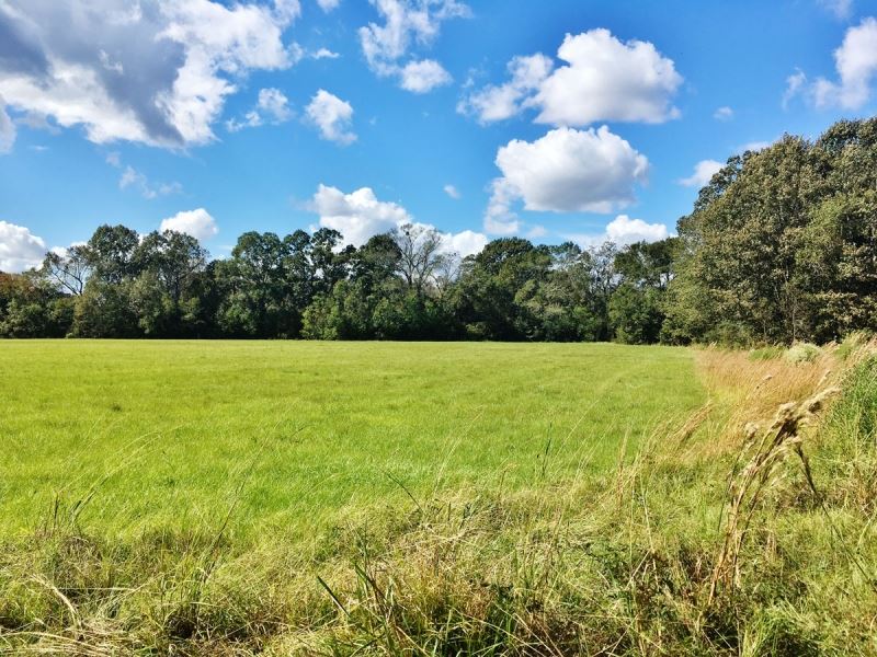 Acreage with Lakes for Sale East Ba : Zachary : East Baton Rouge Parish : Louisiana
