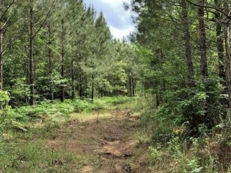 Timber/Recreational Property for Sa : Booneville : Prentiss County : Mississippi