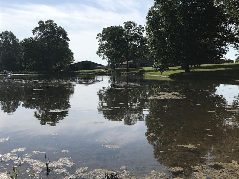 117 Acre, Beautiful All in One Farm : Paris : Henry County : Tennessee