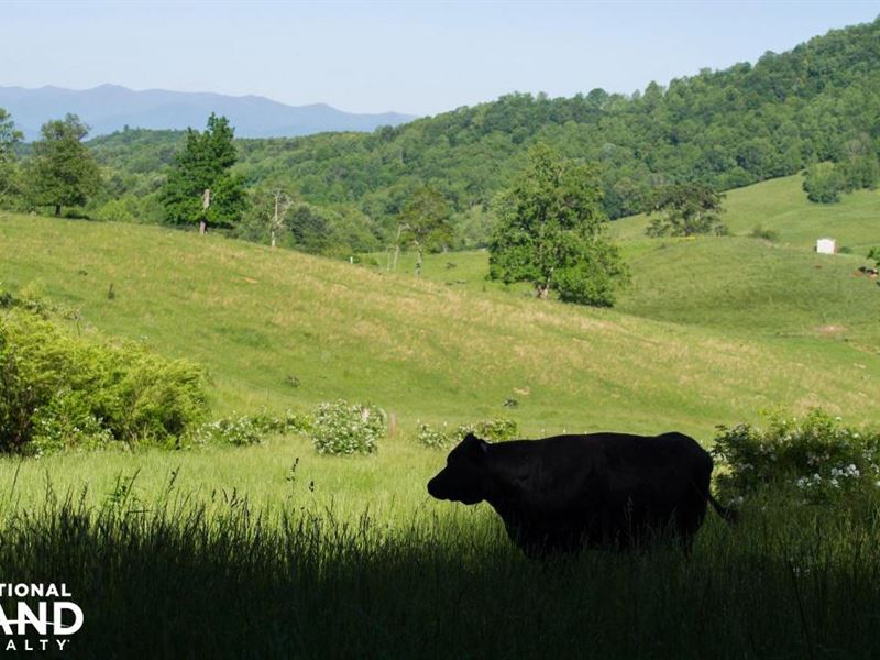 Farm with Rolling Pastures, Woodlan : Leicester : Buncombe County : North Carolina