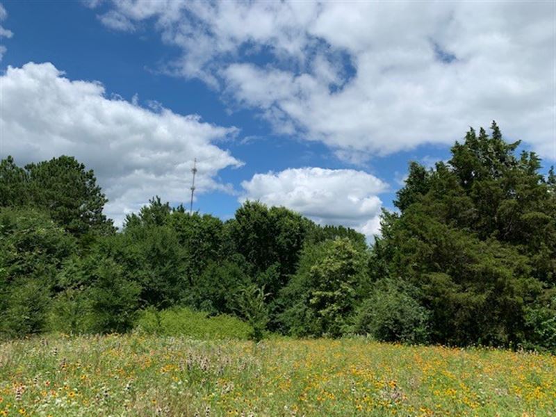 Home Site Tracts Land Tennessee : Tennessee Colony : Anderson County : Texas