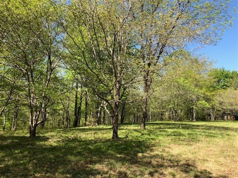Gorgeous Lot Williamson County : Primm Springs : Williamson County : Tennessee