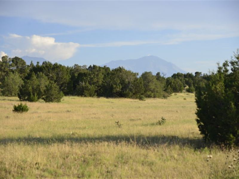 1-Acre Paradise Near Lathrop State : Walsenburg : Huerfano County : Colorado