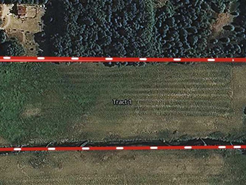13 Acres / Knox, IN / Land : Knox : Starke County : Indiana