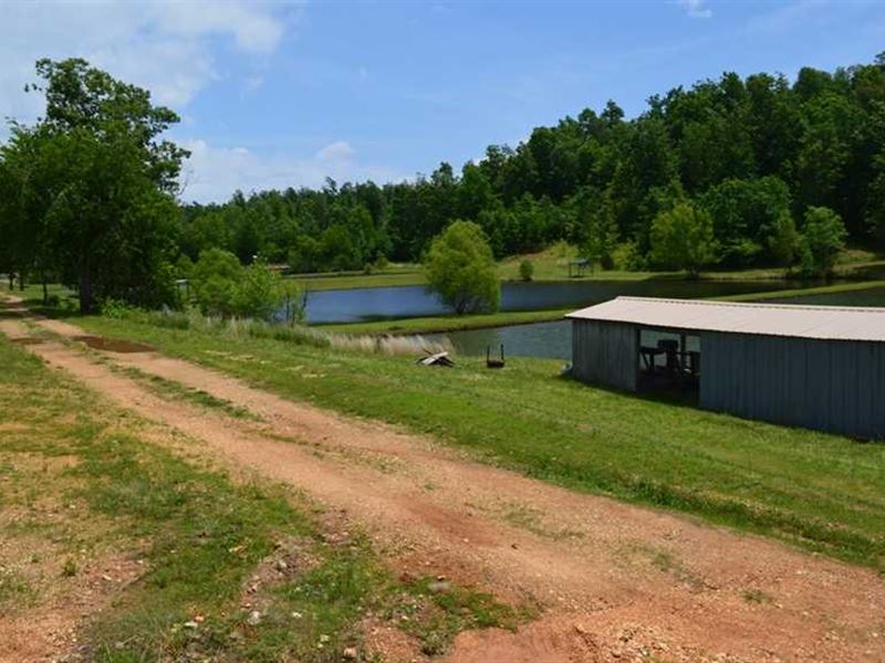 17 Acres with Spring Fed Stocked : Silva : Wayne County : Missouri