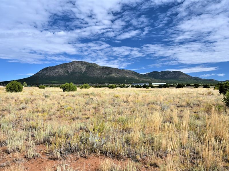 Edgewood 8 : Edgewood : Santa Fe County : New Mexico