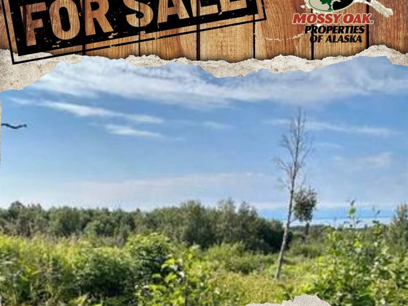 1.92 Acre Corner Lot, A View : Nikiski : Kenai Peninsula Borough : Alaska