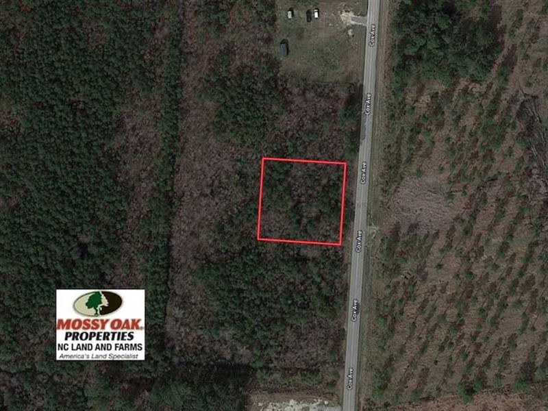 .49 Acres of Residential Land : Rocky Mount : Edgecombe County : North Carolina