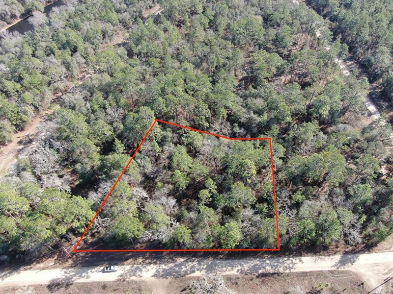 Beautiful Recreational Lot Near : Lee : Madison County : Florida