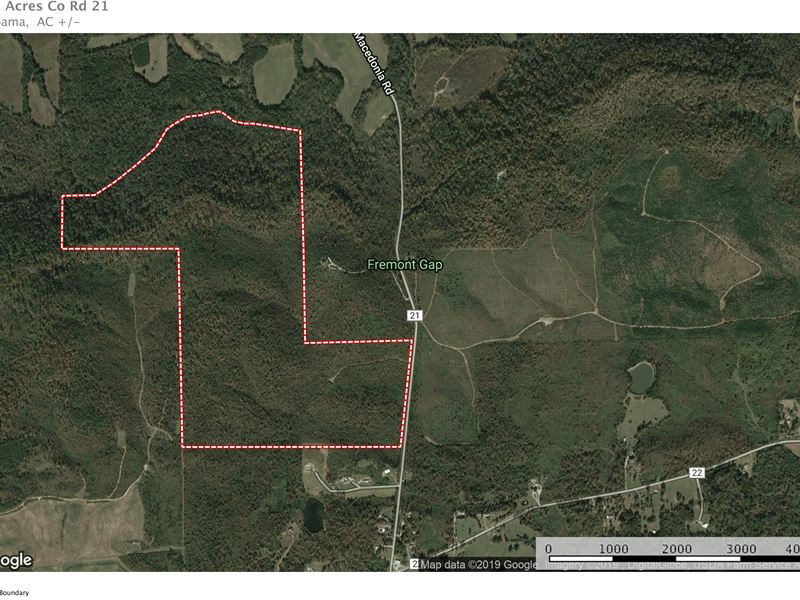 233+/- Ac Hunting/ Cabin Sites : Ashville : Saint Clair County : Alabama