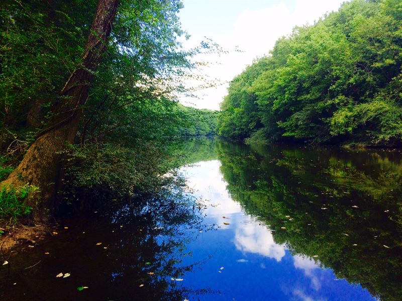 Muller Lake Partnership : Saint Matthews : Calhoun County : South Carolina
