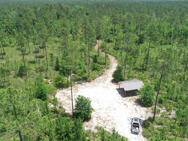 32 Acres with Pole Barn Land fo : Folkston : Charlton County : Georgia