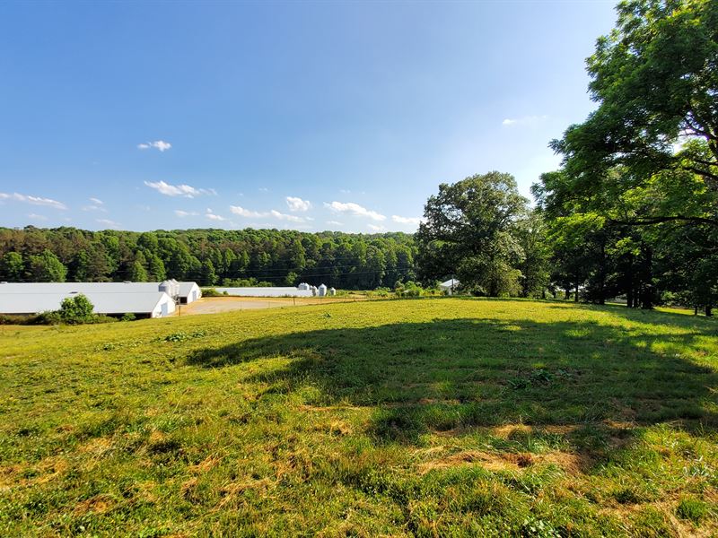 6 House Poultry Broiler & Horses : Ellijay : Gilmer County : Georgia