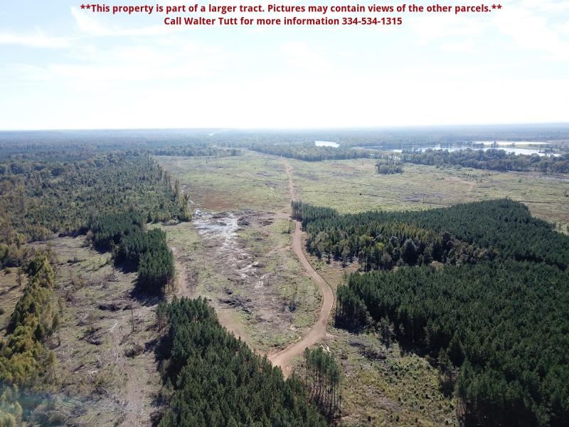 Myrtlewood Tract, Parcel C : Myrtlewood : Marengo County : Alabama