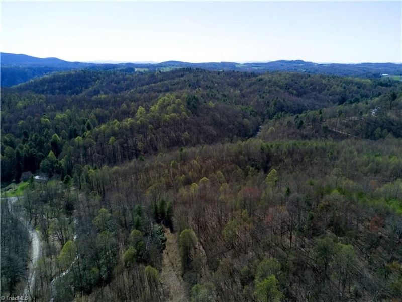 Land For Sale in Cana VA Land for Sale in Cana, Carroll County