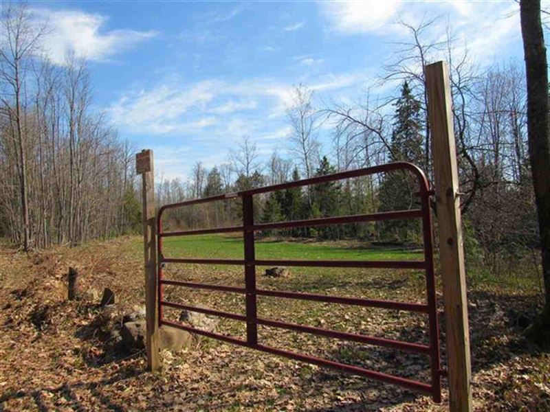 Bergland Rd, Bergland : Bergland : Ontonagon County : Michigan