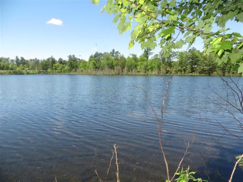 Clawson Lake, 440 Feet of Frontage : Minocqua : Oneida County : Wisconsin