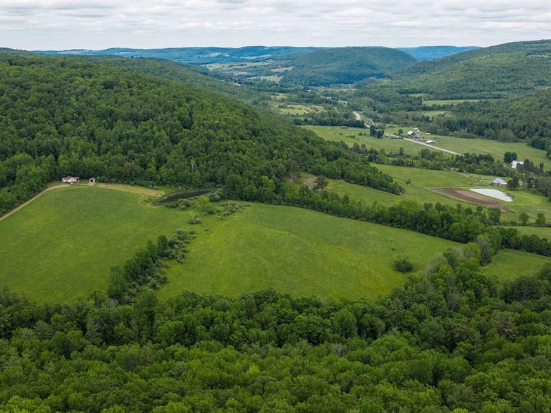 Hunting Preserve, Hundreds Of Acres : Hornell : Steuben County : New York