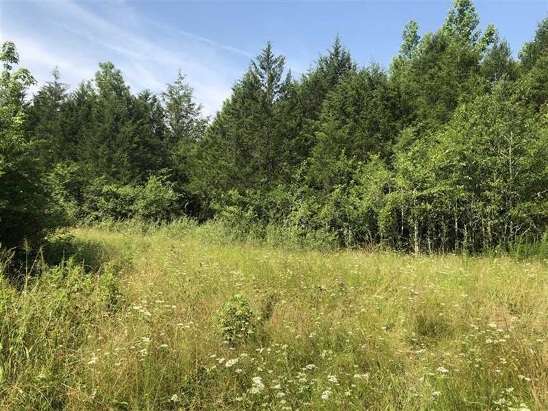 15 Acres of Incredible Hunting : Bald Knob : White County : Arkansas