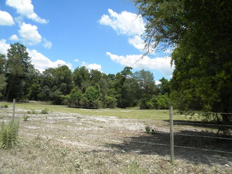 North Central Chiefland Florida : Chiefland : Levy County : Florida