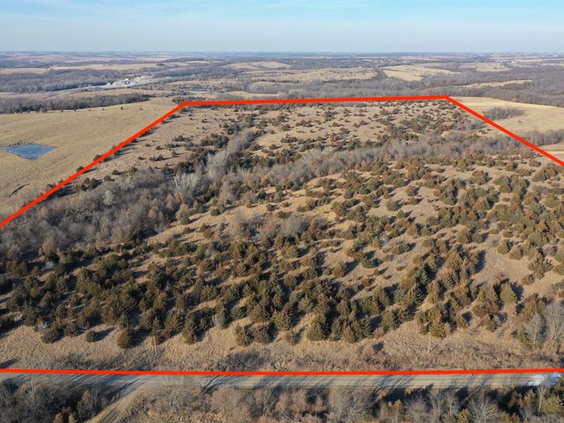 Hunting Property Decatur County Land for Sale in Decatur City