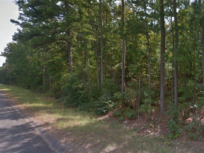 Excellent Property in Holly Lake Tx : Holly Lake Ranch : Wood County : Texas