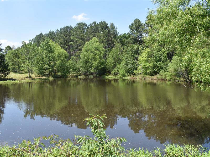 Recreational Hunting / Fishing Land : Elberton : Elbert County : Georgia