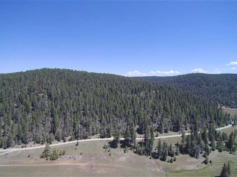 36 Acre Mountain Home & Large Meta : Cloudcroft : Otero County : New Mexico