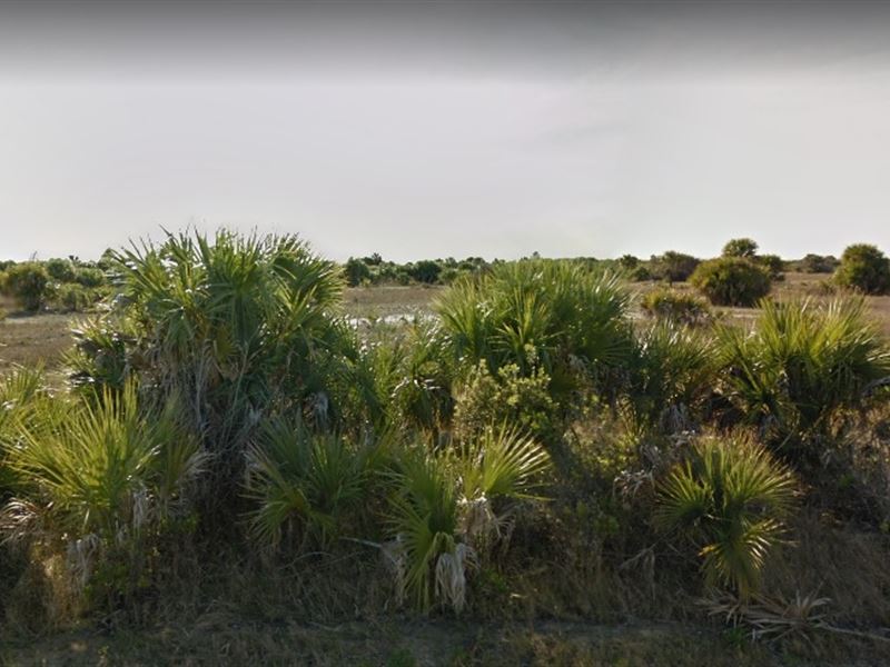 Brevard County, Fl $10,000 : Palm Bay : Brevard County : Florida