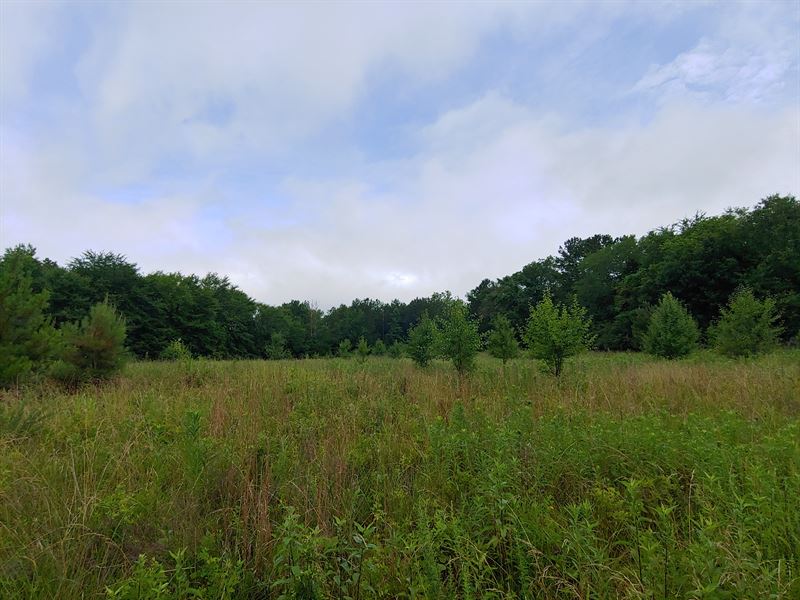 Fields, Streams, and Hardwood Hills : Elberton : Elbert County : Georgia