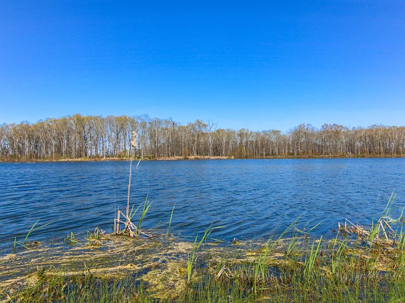 Wooded Lot in Windhaven Lakes : Montgomery : Lowndes County : Alabama