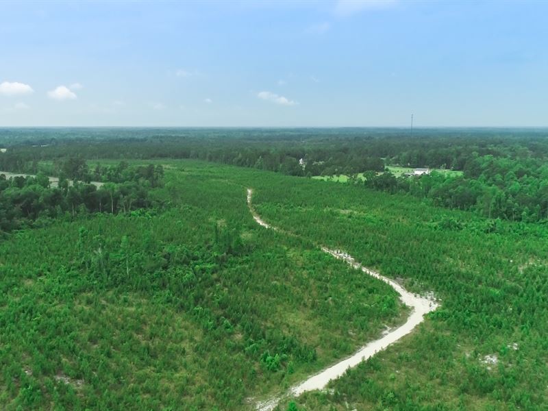 Galivants Ferry 36 / Horry County Land for Sale in Aynor, Horry