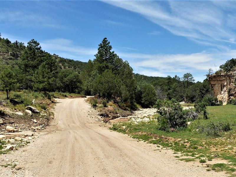 Cattle / Hunting Ranch for Sale : Carlsbad : Eddy County : New Mexico