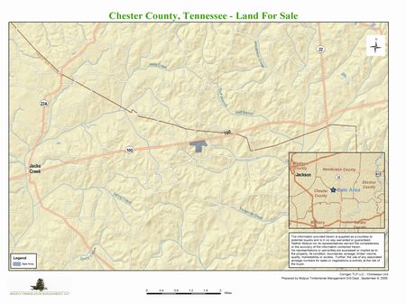 Crine Creek Tract - 52 Acres : Henderson : Chester County : Tennessee