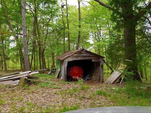 170 Acre Old Farm Fields Nice Creek : Middleton : Hardeman County : Tennessee