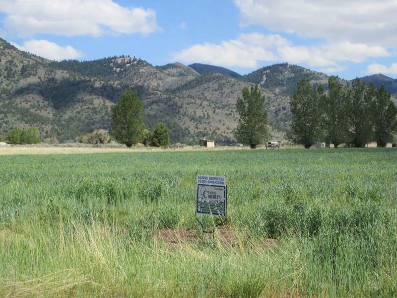 Beautiful Rare Corner Lot, $190/Mo : New Pine Creek : Modoc County : California