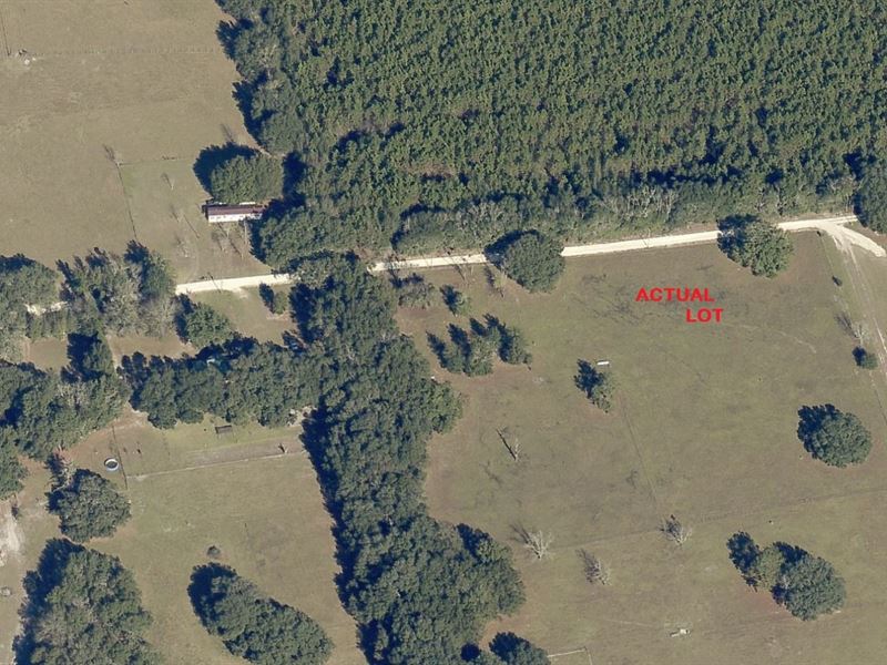 1.04 Acres for Sale in Lake City : Lake City : Columbia County : Florida