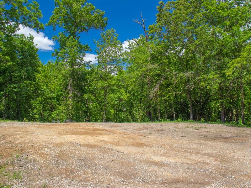 2 Lots, Buildable, Cleared, Private : Carlinville : Macoupin County : Illinois