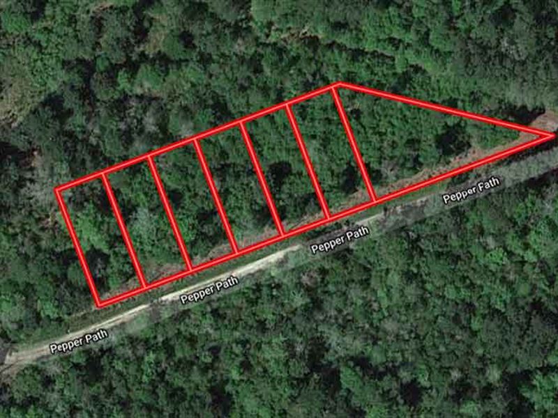 Unrestricted 1.14 Acre : Shepherd : San Jacinto County : Texas